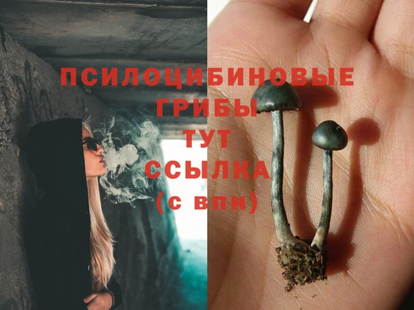 меф Белокуриха