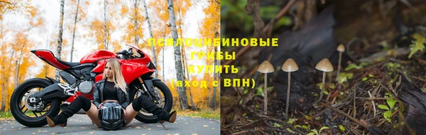 меф Белокуриха