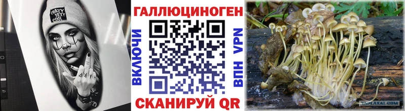 гидра ССЫЛКА  Ворсма  Псилоцибиновые грибы GOLDEN TEACHER 